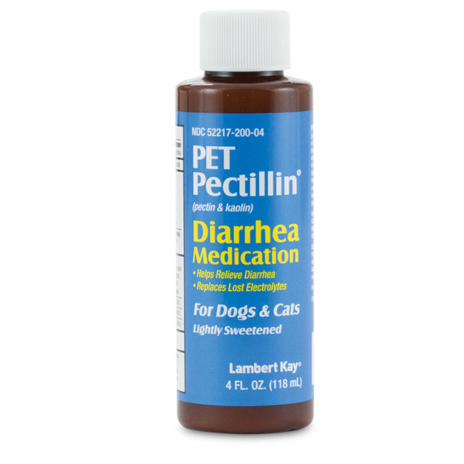 canine anti diarrhea medicine