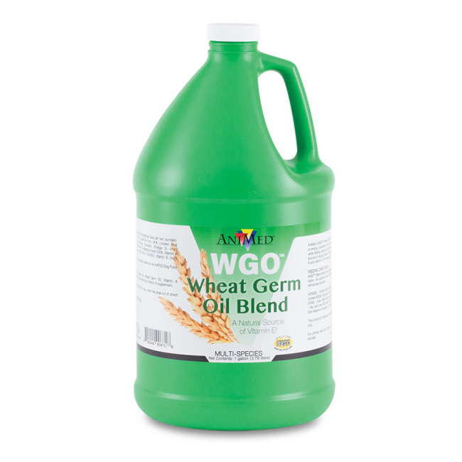 Wheat Germ Oil Blend | Revival Animal Health